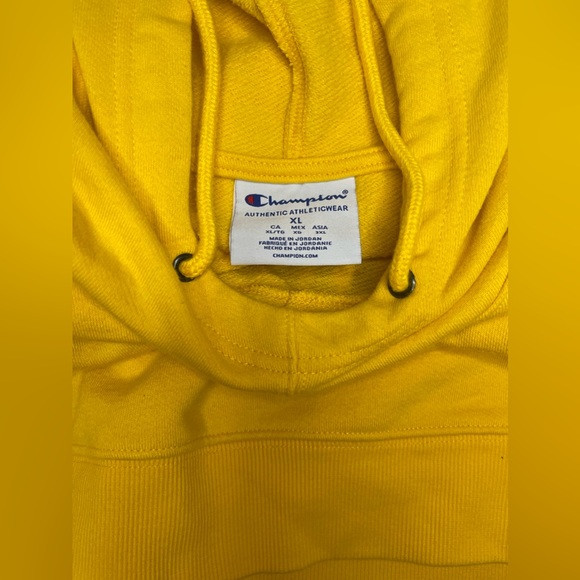 Champion University of Michigan Yellow Basic Arch Hooded Sweatshirt XL Youth - Picture 3 of 4